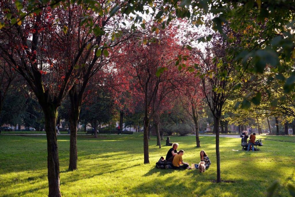 Ultime piogge poi arriva l’estate di San Martino in anticipo: le previsioni meteo