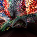 A Gorizia i dati diventano poesia, Anadol firma il progetto digitale più grande d’Europa