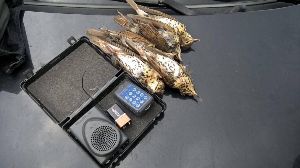 Bracconaggio in provincia di Roma.“Operazione Recall“:19 persone denunciate dai Carabinieri Forestali in collaborazione con le Guardie della Lipu