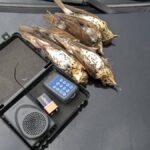 Bracconaggio in provincia di Roma.“Operazione Recall“:19 persone denunciate dai Carabinieri Forestali in collaborazione con le Guardie della Lipu