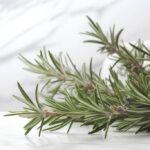 Buccia di limone, basilico e rosmarino: perché farli bollire e le proprietà ‘segrete’