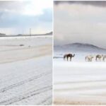 L’Arabia Saudita ‘riscopre’ la neve, primi fiocchi dopo 30 anni