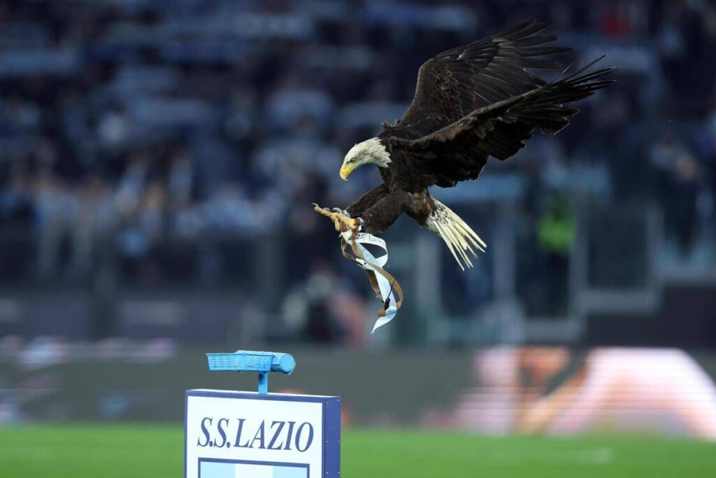 Lazio, debutta all’Olimpico la nuova aquila: primo volo per Flaminia