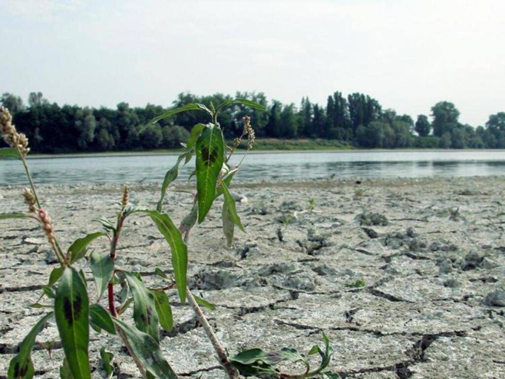 Agosto mese più caldo mai registrato, estate più rovente di sempre per l’Europa occidentale