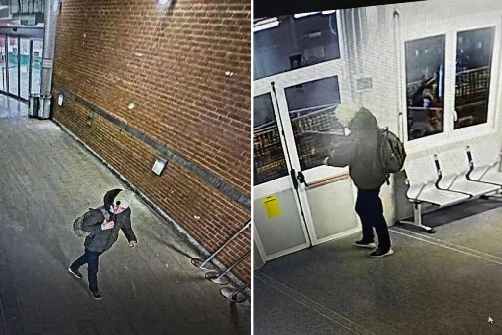 Capotreno ucciso a Bologna: dall’omicidio all’arresto, tutti gli spostamenti di Marin Jelenic