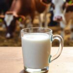 Latte crudo, la moda riprende quota in Usa. L’allarme dei medici: “Gravi rischi”