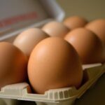 Le uova proteggono il cuore e allungano la vita, lo studio