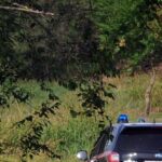 Messina, trovati tre cadaveri crivellati di colpi nel bosco di Montagnareale: indagini in corso