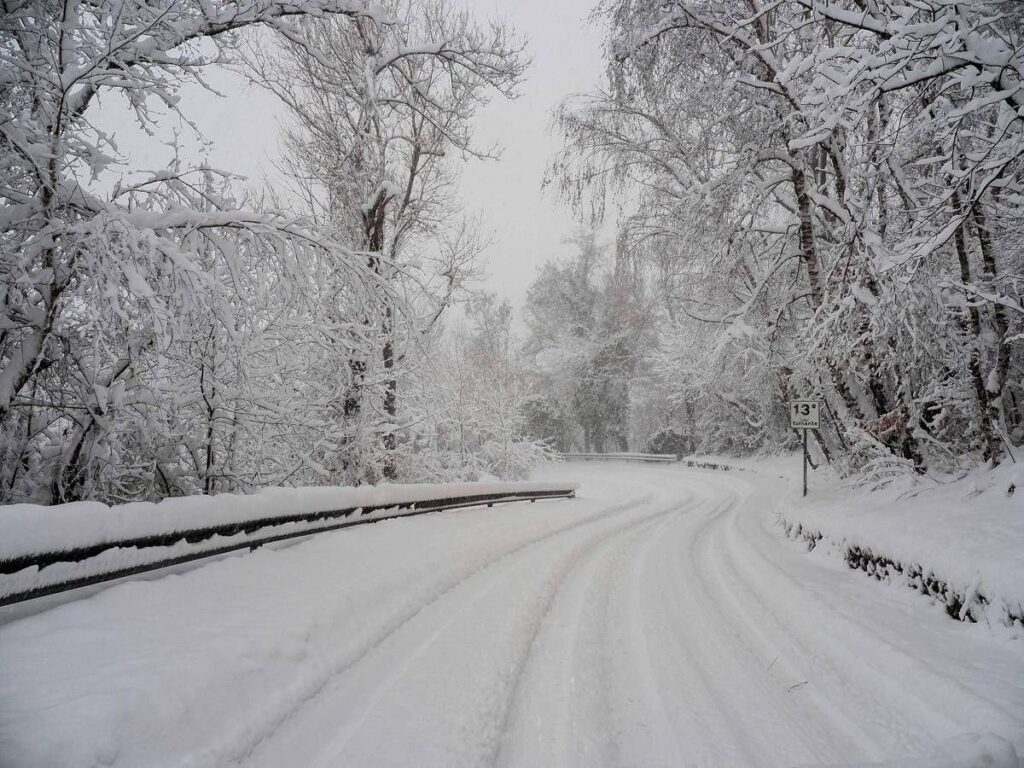 Bimbo lasciato a piedi dal bus, autista chiede scusa. Genitori: “La questione è chiusa”