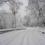 Bimbo lasciato a piedi dal bus, autista chiede scusa. Genitori: “La questione è chiusa”