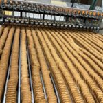 Cth Invest group, fatturato esercizio 2024-25 +9,9%