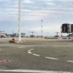 Fumo in cabina aereo, atterraggio d’emergenza a Venezia: paura per 168 passeggeri