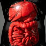 Malattia di Crohn, solo 1 paziente su 3 riceve supporto nutrizionale