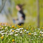 Qualche pioggia, ma continua il caldo: inverno finito in Italia