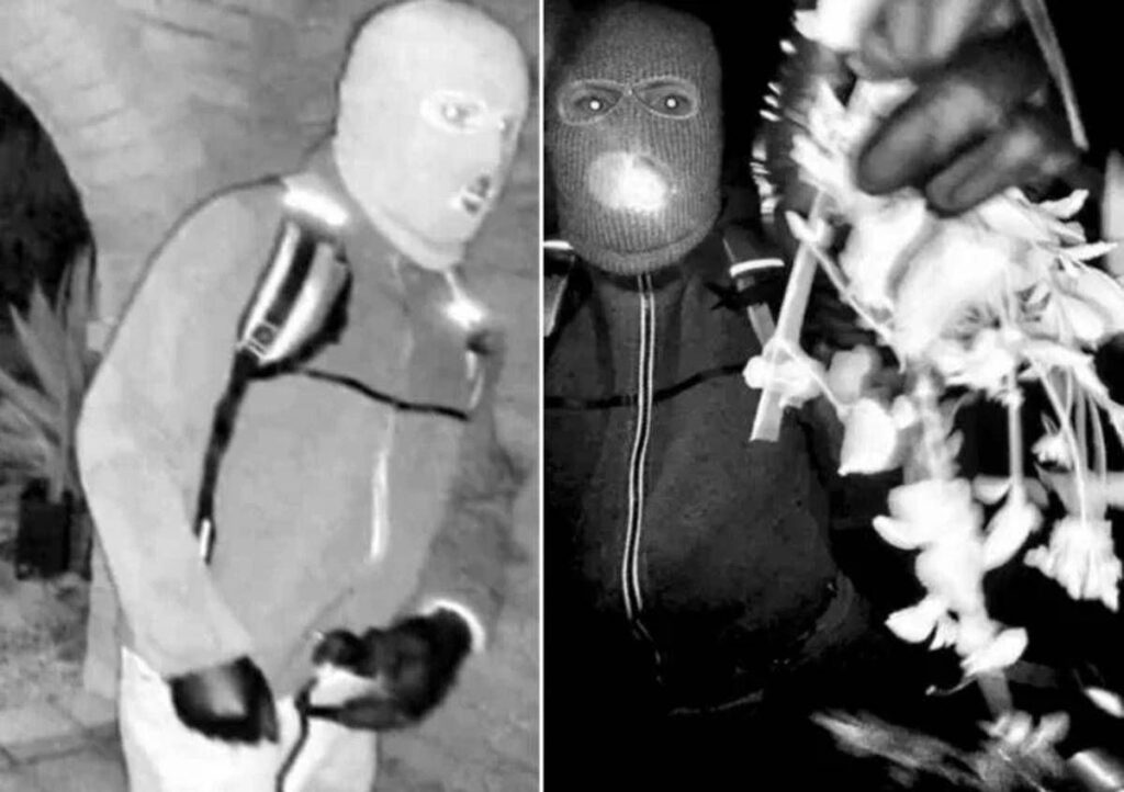 Usa, rapita madre conduttrice Nbc: trovato guanto del rapitore, attesa per Dna