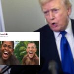 Video razzista con gli Obama, Trump condanna ma non si scusa: “Non l’avevo visto”