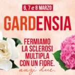 8 marzo: con Aism torna Gardensia in 5mila piazze d’Italia