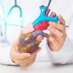 Cardiomiopatia ipertrofica ostruttiva: “Terapia innovativa efficace e sicura a 5 anni”