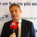 Di Paolo (Bat): “Accordi di filiera essenziali per stabilità e investimenti”
