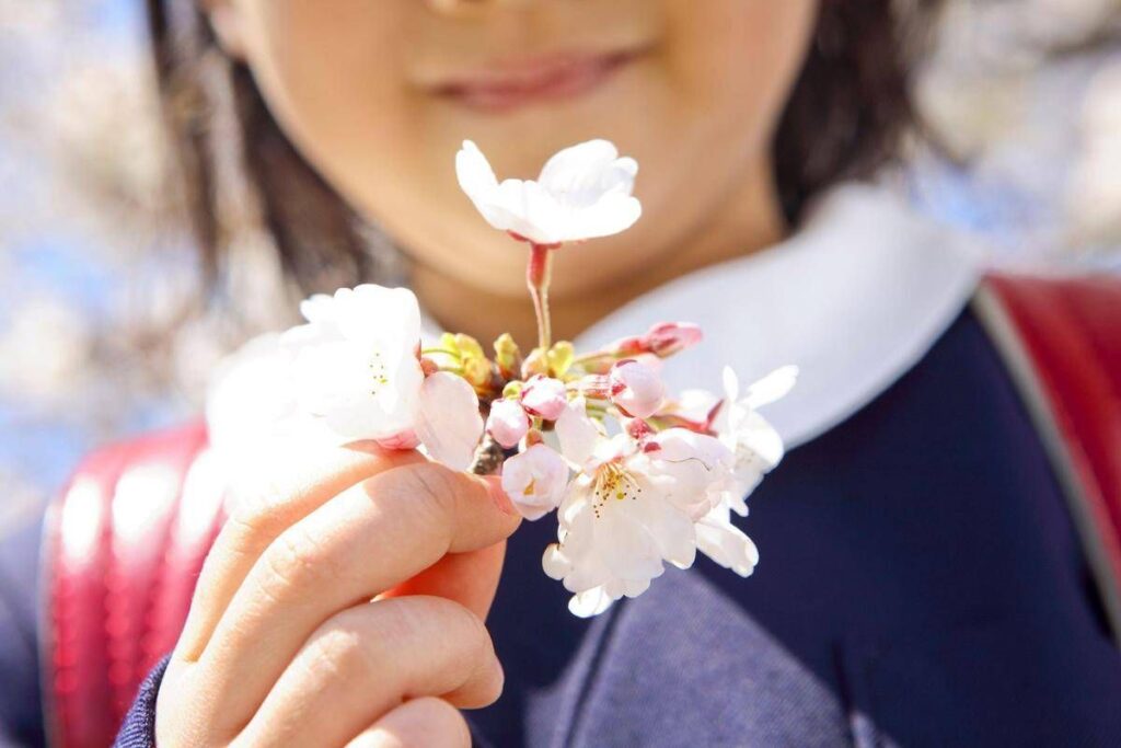 È il primo giorno di primavera, ecco perché l’equinozio cade oggi 20 marzo