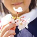 È il primo giorno di primavera, ecco perché l’equinozio cade oggi 20 marzo