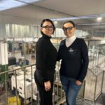 Il cuore e la fabbrica: nel mondo di Zurvit