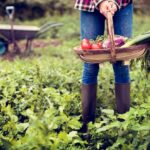 Usa, una famiglia rifiuta 26 milioni di dollari da un’azienda IA: “La nostra fattoria non diventerà un data center”