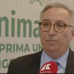 Violenza sulle donne, Belli (Unimarconi): “Con Doppia Difesa borse studio per aiutare vittime a ricominciare”