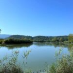 World Water Day, Sanpellegrino lancia Fonte