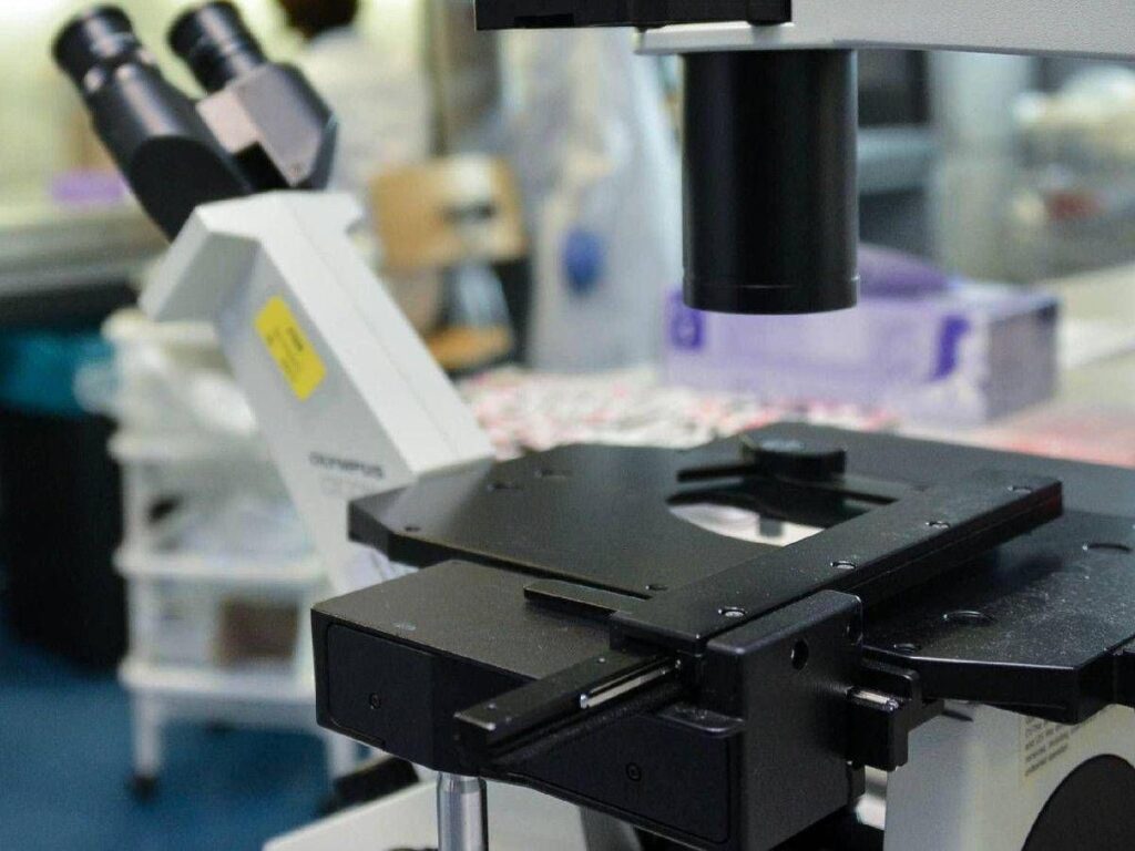 Così i tumori perdono il dono dell’invisibilità, la nuova strategia in una ricerca italiana