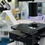 Così i tumori perdono il dono dell’invisibilità, la nuova strategia in una ricerca italiana