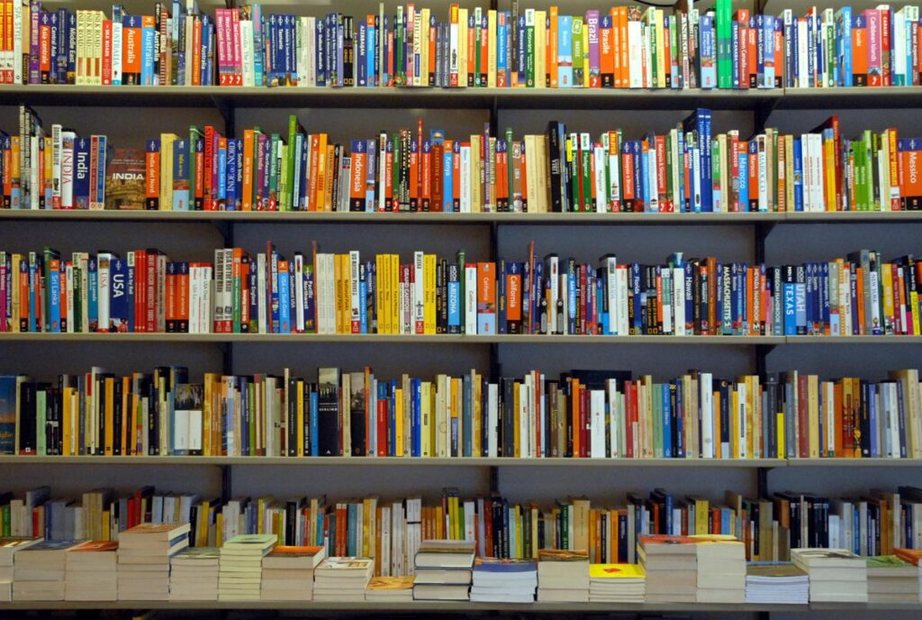 Da ‘Tutte le mattine di Sybil’ a ‘Ci basterà mangiare il vento’: tutte le novità in libreria