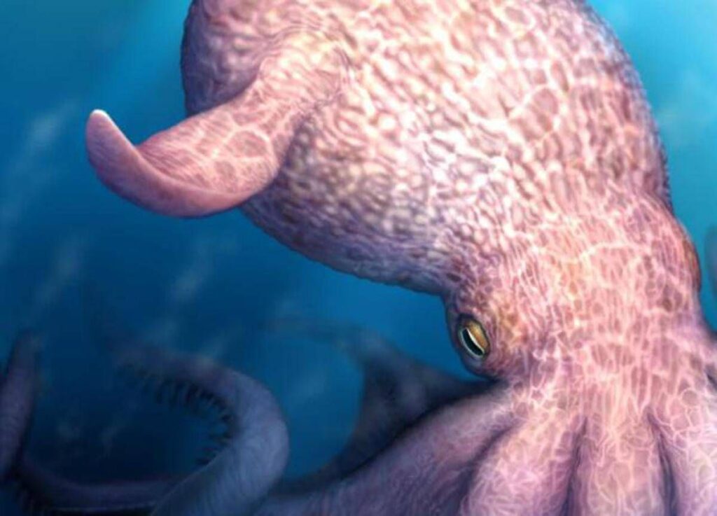 Il Kraken è esistito e dominava gli oceani, la scoperta sul ‘mostro dei mari’