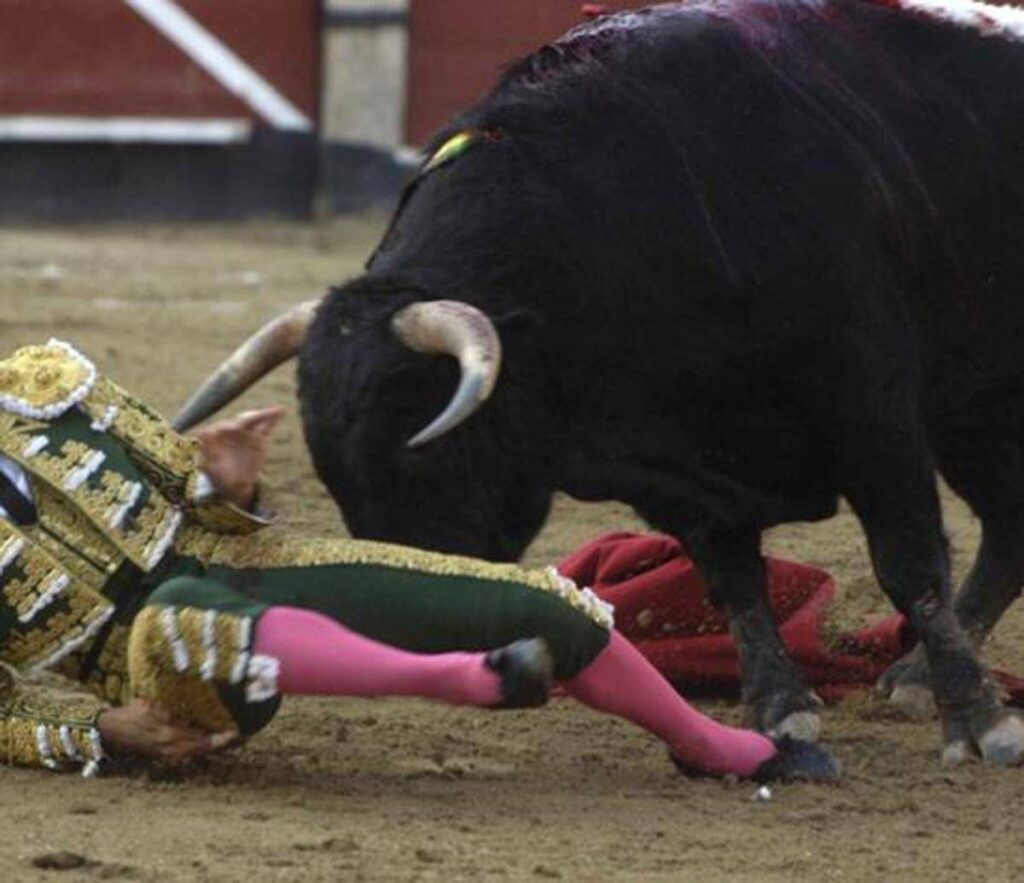Il toro incorna e uccide il torero, lo choc in Spagna