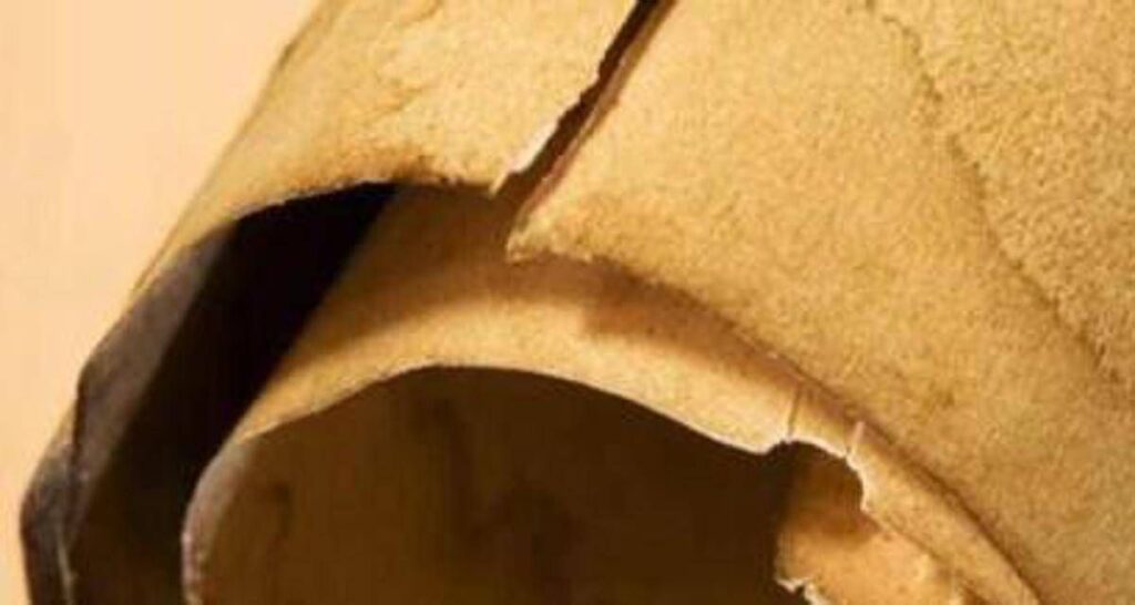 Iliade in una mummia in Egitto, il chiarimento: “Papiro usato come imballaggio”