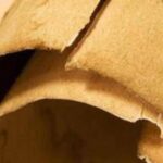 Iliade in una mummia in Egitto, il chiarimento: “Papiro usato come imballaggio”