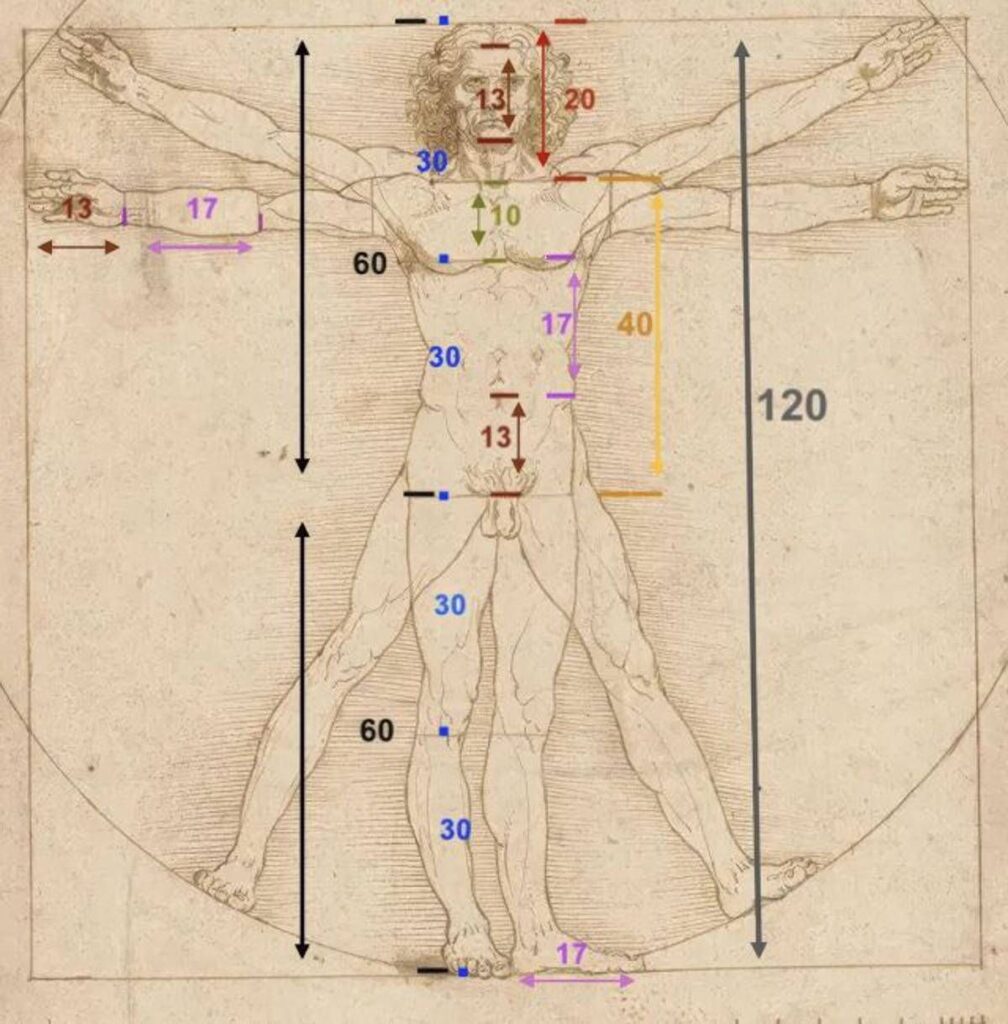 L’Uomo Vitruviano di Leonardo da Vinci Il corpo umano come misura del mondo