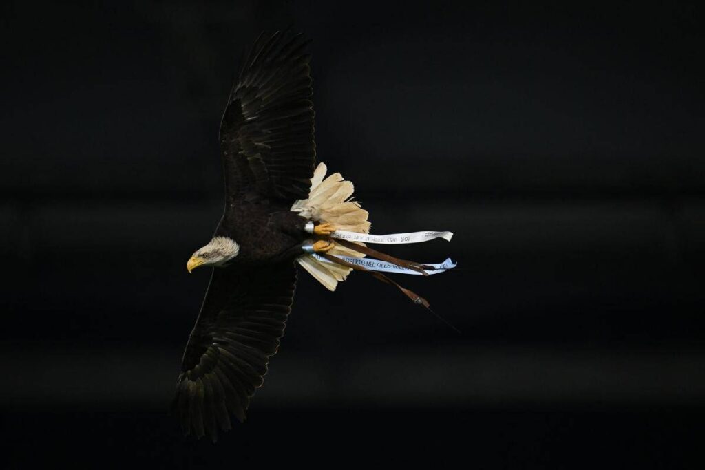 Lazio, Flaminia vola ma… sbaglia strada: atterraggio in Monte Mario