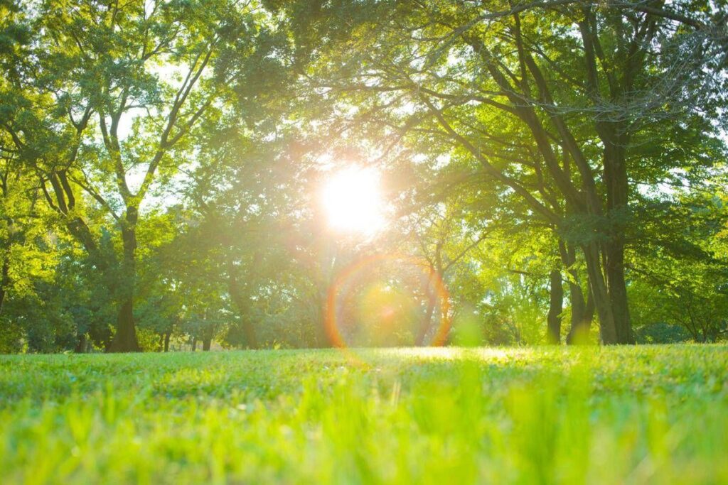 Pasqua e Pasquetta con sbalzo termico, caldo (quasi) estivo e rischio valanghe: le previsioni meteo