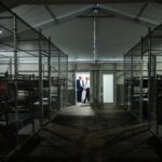 Trump in pressing per riaprire il carcere di Alcatraz, tycoon chiede al Congresso 152 milioni