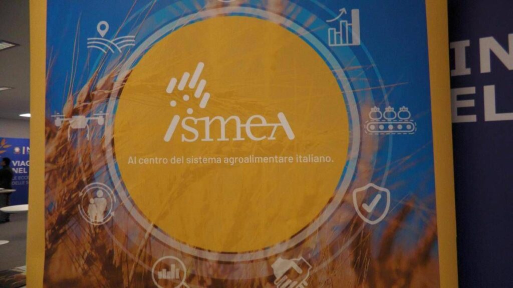 Vinitaly, vino italiano leader: focus su mercati esteri e nuovo bando OCM Promozione