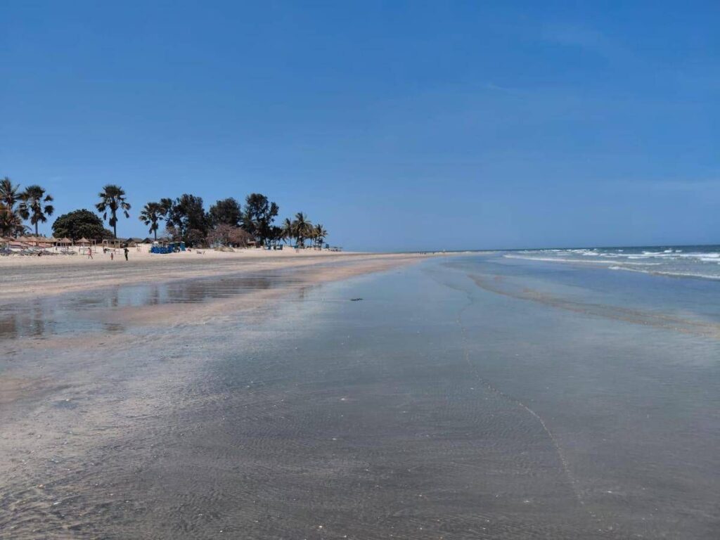 Bimbi al mare, 164 spiagge scelte dai pediatri: ecco le Bandiere verdi del 2026