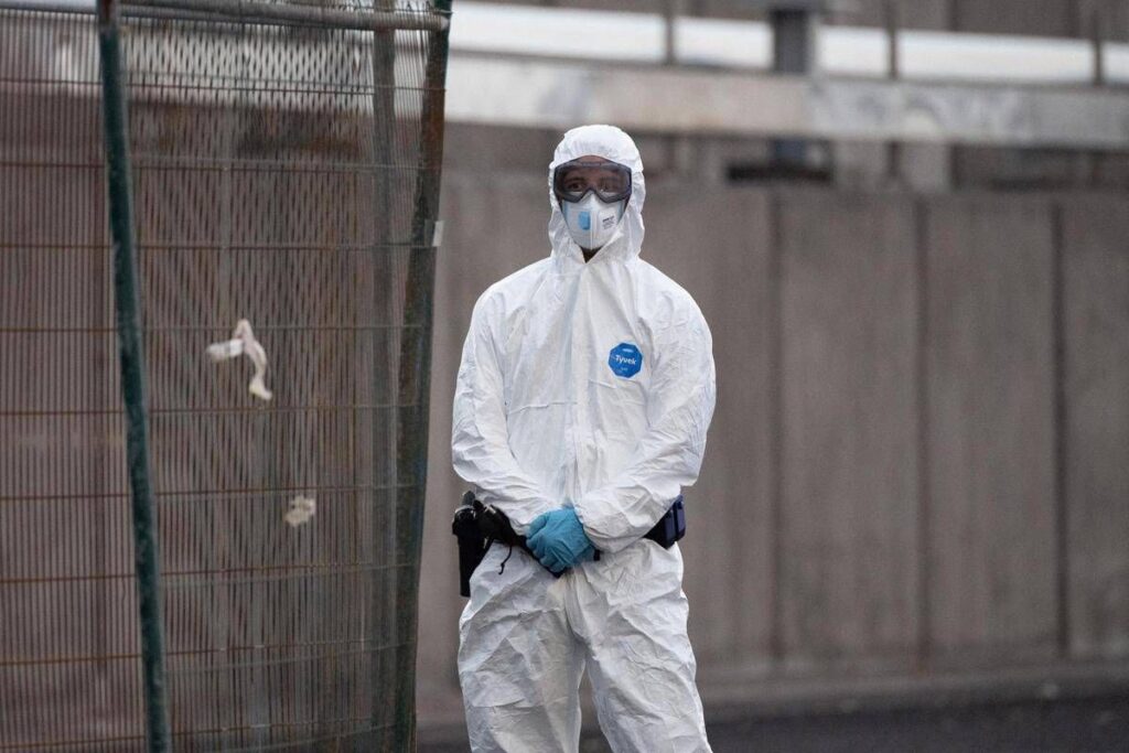 Hantavirus, l’esperta: “Più letale ma diverso da Covid, non si rischia nuova pandemia”