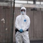 Hantavirus, l’esperta: “Più letale ma diverso da Covid, non si rischia nuova pandemia”
