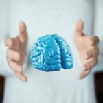Imparare ad essere altruisti, così il cervello costruisce i comportamenti sociali