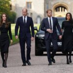 Kate ha mediato per anni tra Harry e William, poi una frase l’ha convinta a chiudere con il cognato