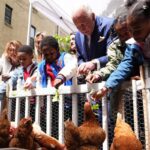 Reali e pollai, Carlo e Meghan: “I know my chickens”