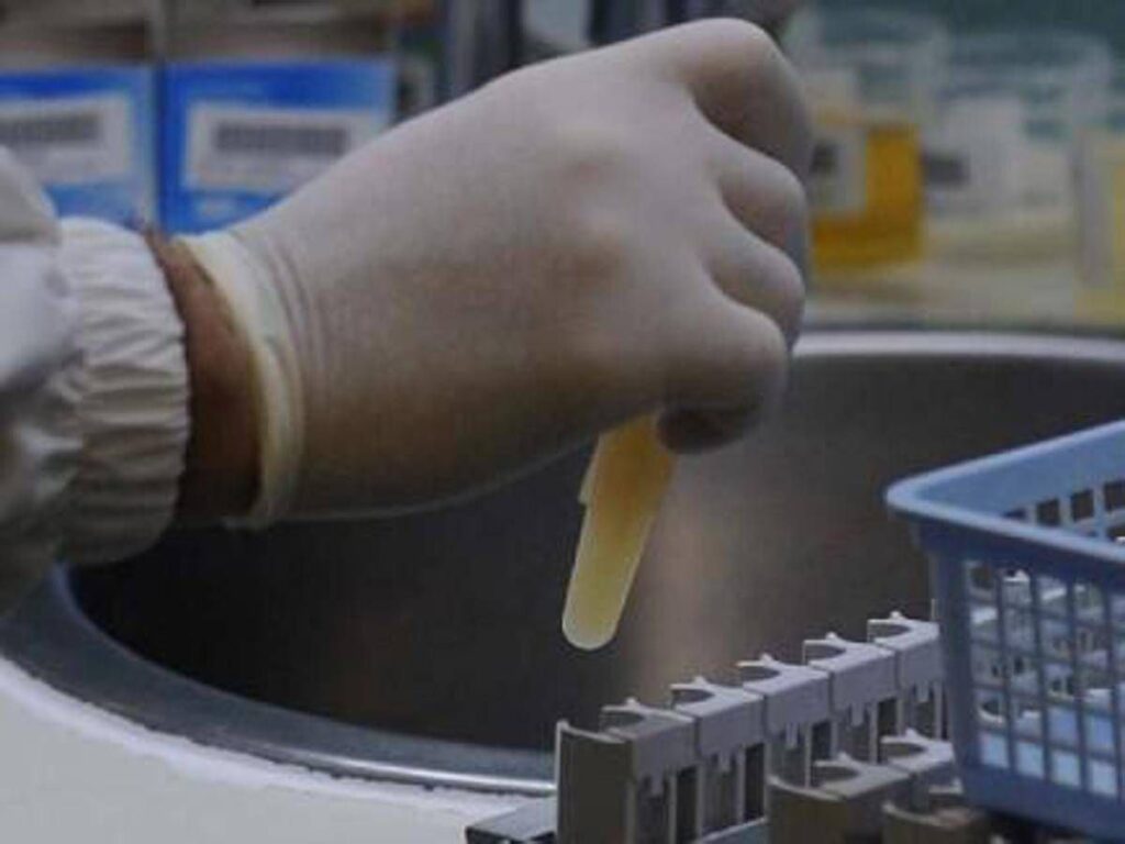 Tre morti per possibile focolaio di infezione da hantavirus su nave da crociera nell’Atlantico﻿