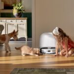 Animali, sondaggio Roborock rivela come cambia l’igiene domestica per i pet parent italiani