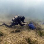Findus rafforza l’impegno per la tutela del mare, lotta a plastiche e ripristino posidonia oceanica